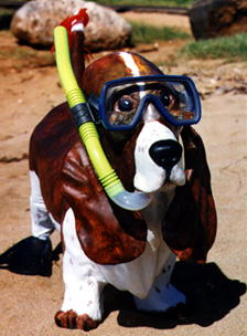 Snorkel Dog